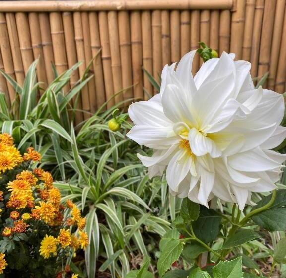 Quarto deluxe, Trang An Moon Garden Homestay