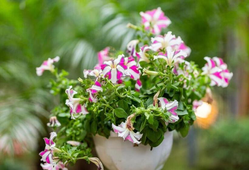 Bungalow Familiar, Trang An Moon Garden Homestay