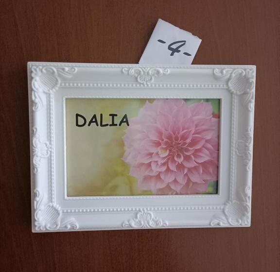 اتاق استاندارد, Guesthouse127