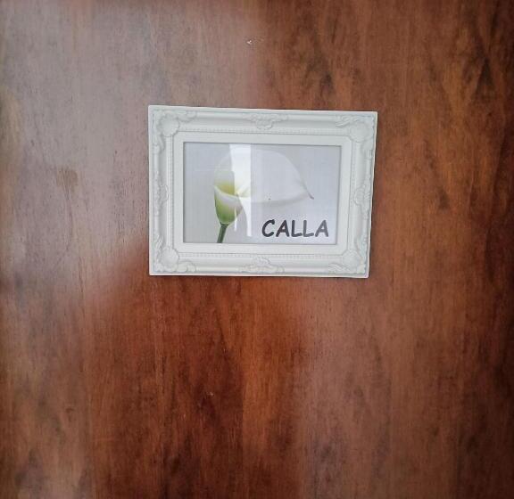 اتاق استاندارد یک نفره, Guesthouse127