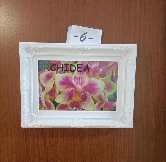 اتاق استاندارد, Guesthouse127