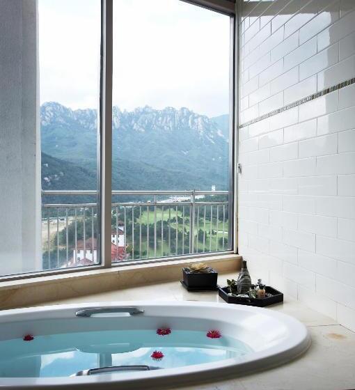高级套房, Seorak I Park Condo