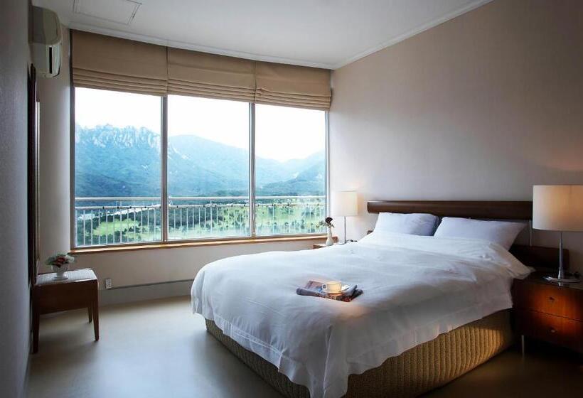 Люкс Superior, Seorak I Park Condo