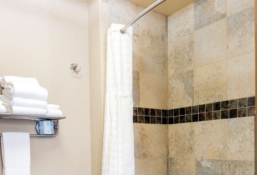 Люкс Кровать Кинг, Homewood Suites By Hilton Billings, Mt