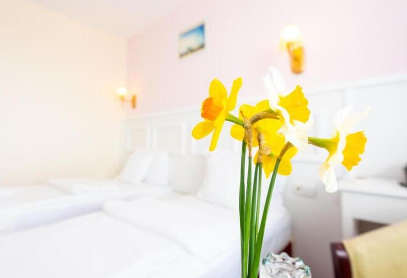 サイドシービュースーペリアールーム, Parc