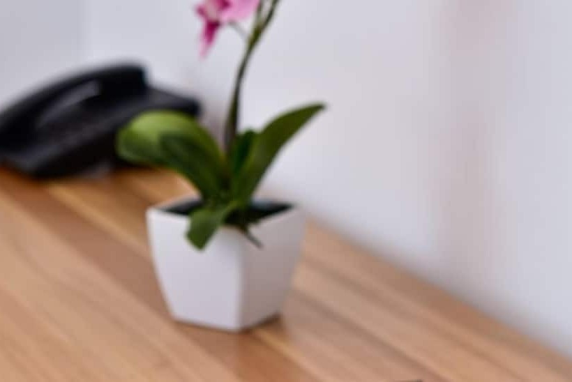 דירת חדר נוף לים, Parc