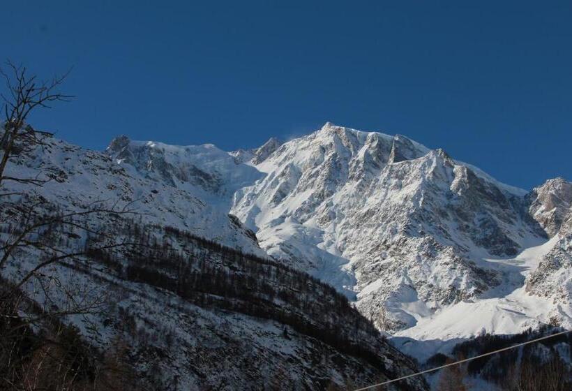 4인용 스탠다드 룸, Signal