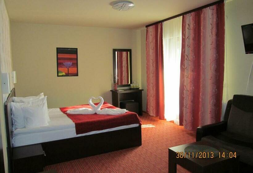 חדר סטנדרט, Casa Rosca Busteni