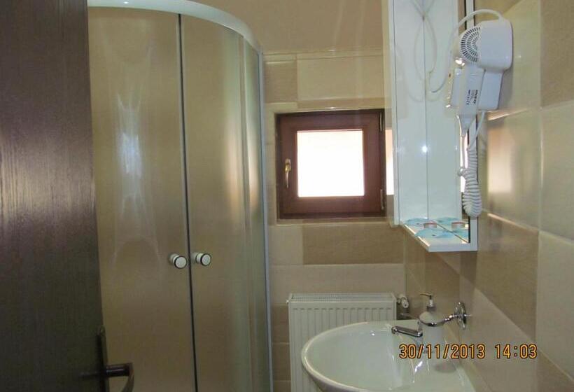 חדר סטנדרט, Casa Rosca Busteni