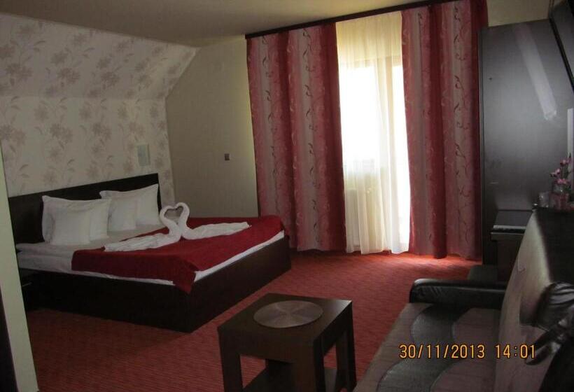 חדר סטנדרט, Casa Rosca Busteni