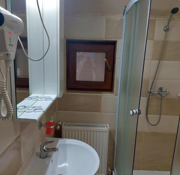 חדר סטנדרט נוף להרים, Casa Rosca Busteni