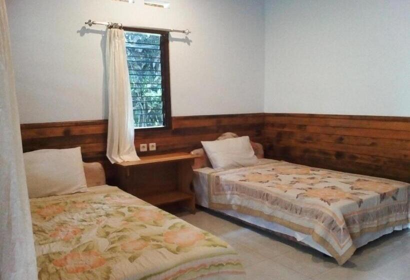 Номер Стандарт, Madra Homestay