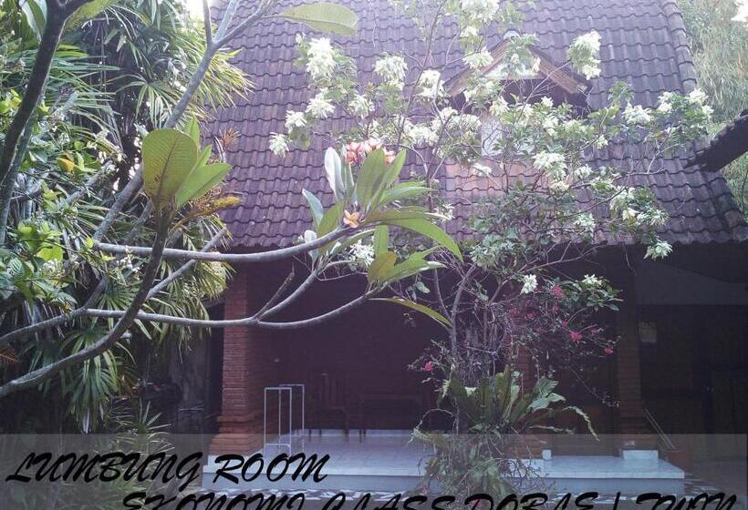 Номер Стандарт, Madra Homestay