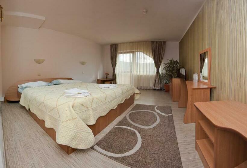 اتاق استاندارد, Pensiunea Moldova