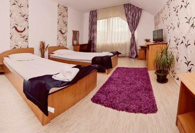 اتاق استاندارد, Pensiunea Moldova