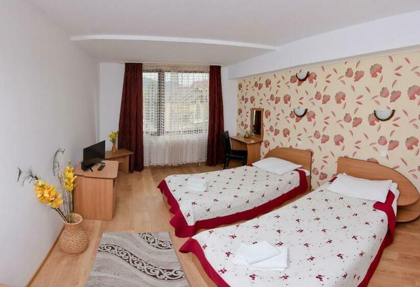 اتاق استاندارد, Pensiunea Moldova
