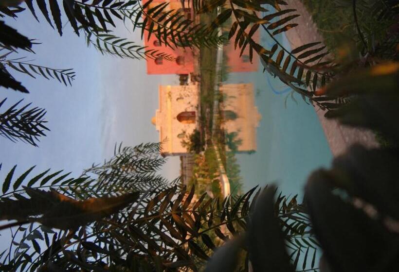 اتاق استاندارد, Douar Noujoum