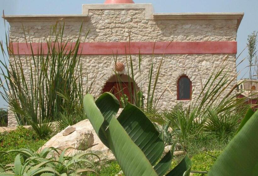 اتاق استاندارد, Douar Noujoum