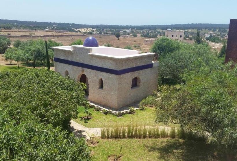 اتاق استاندارد, Douar Noujoum