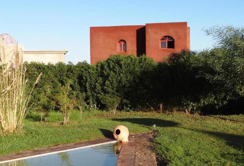 اتاق استاندارد, Douar Noujoum