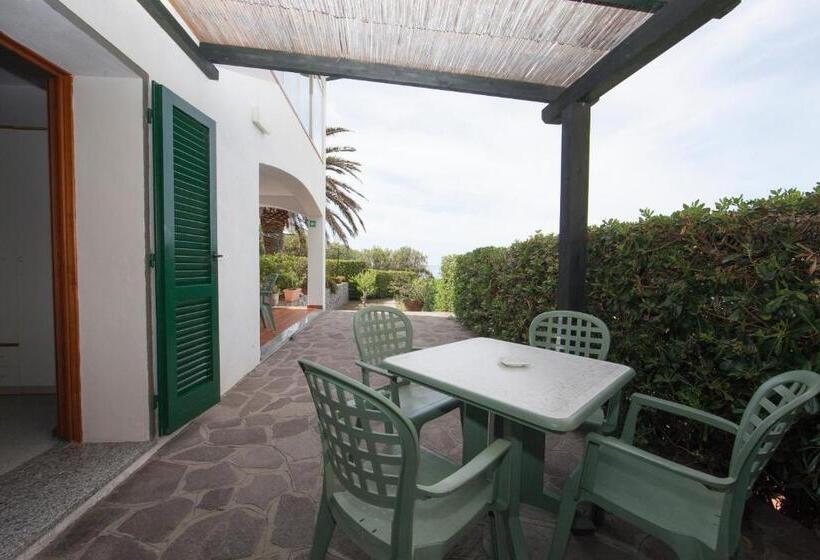 수피리어 트리플 룸, Aurora