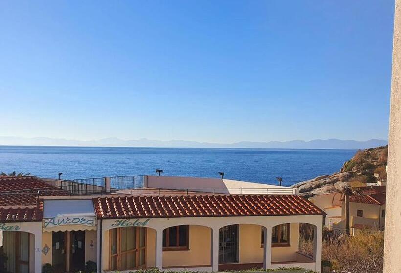 침실 1개 아파트, Aurora