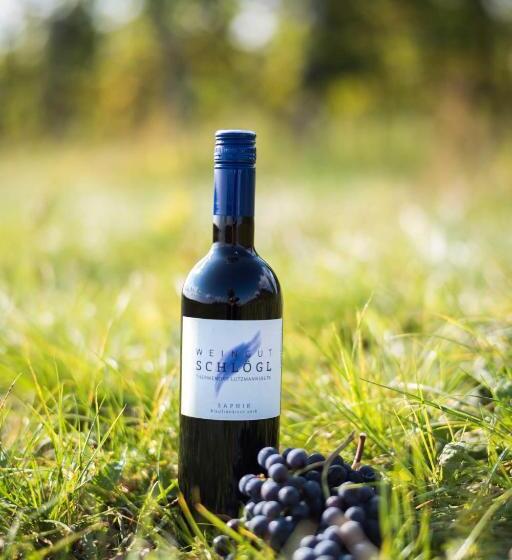 Номер Стандарт, Pension Schlögl