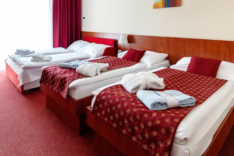 스탠다드 발코니 룸, Senec Aqua Resort
