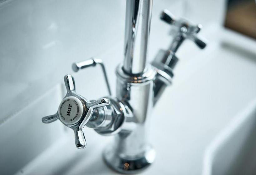 غرفة كلاسيكية فردية, The Brown S