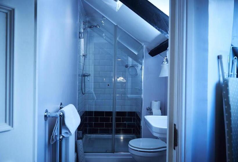 غرفة قياسية, The Brown S