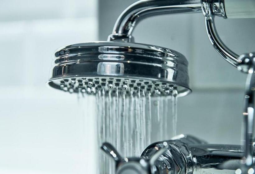 古典房间, The Brown S