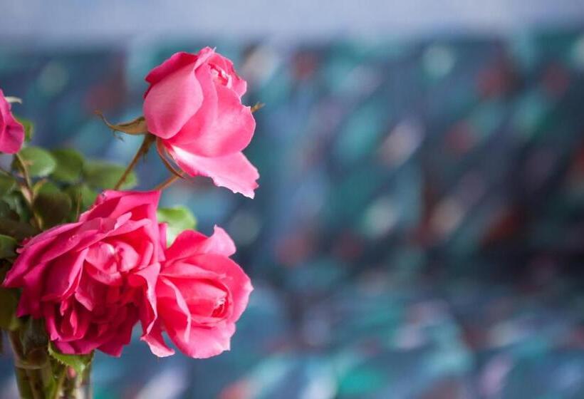 جناح دوبلكس, Zlatni Lav