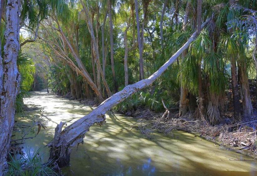 带2个卧室的别墅, Sandcastles 1770 Motel & Resort