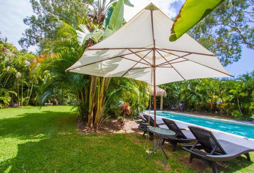 带泳池的2人公寓, Sandcastles 1770 Motel & Resort