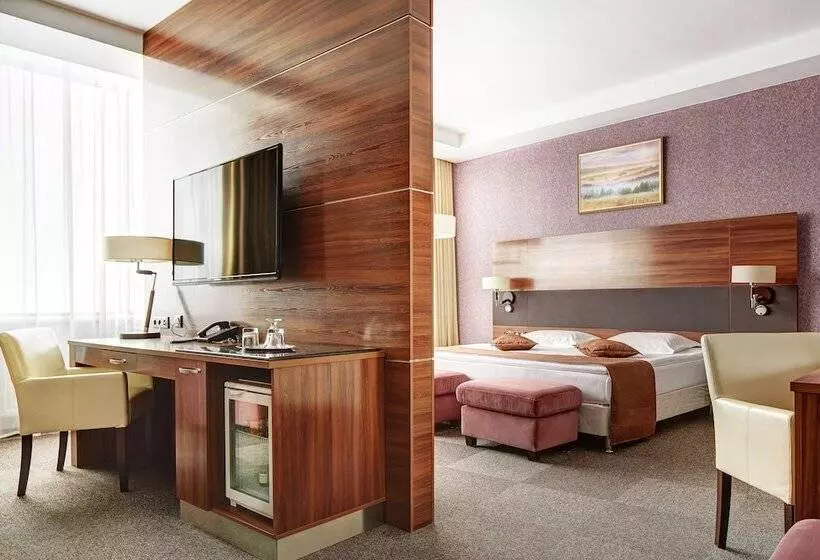 スタンダードスタジオ, Victoria Olimp Hotel Minsk