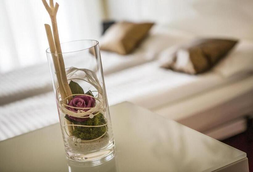 豪华湖景房, Wellness Hotel Casa Barca