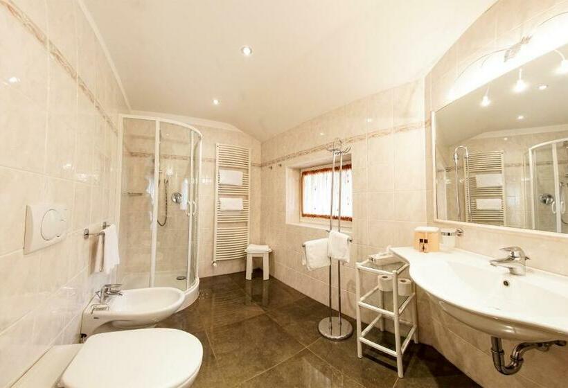 Comfort room with balcony, Garni Crepaz