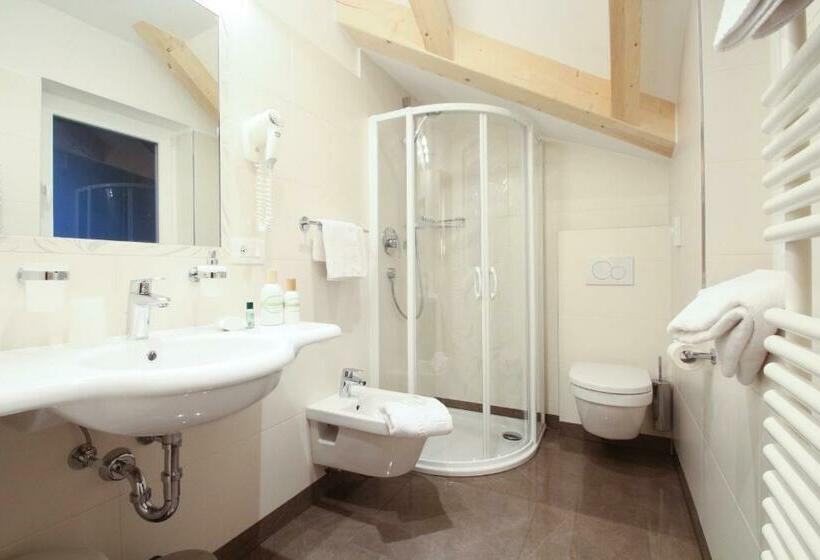 Comfort room with balcony, Garni Crepaz