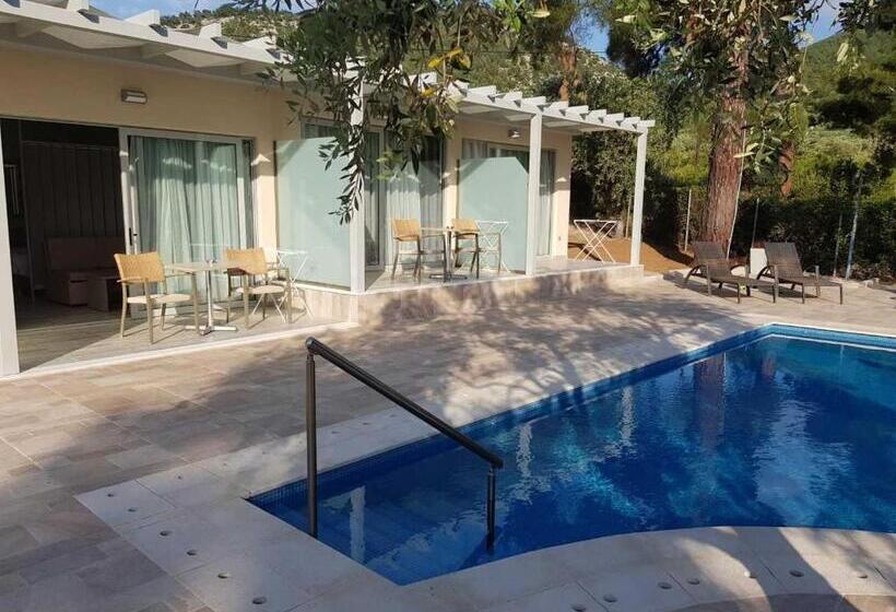 ビュー有りのスタンダードワンルーム, Thassos Imperial