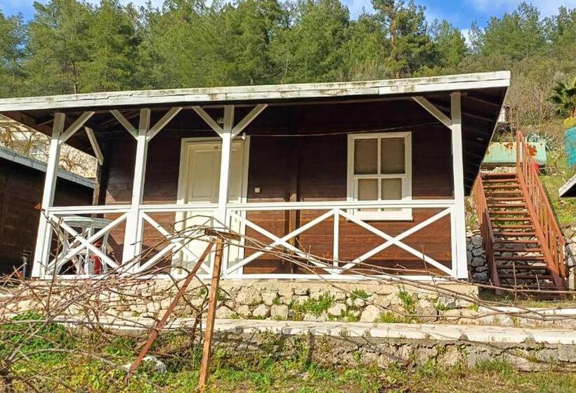 Бунгало Стандарт, Angels Garden