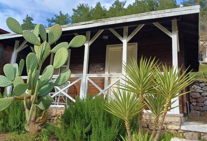 Бунгало Стандарт, Angels Garden