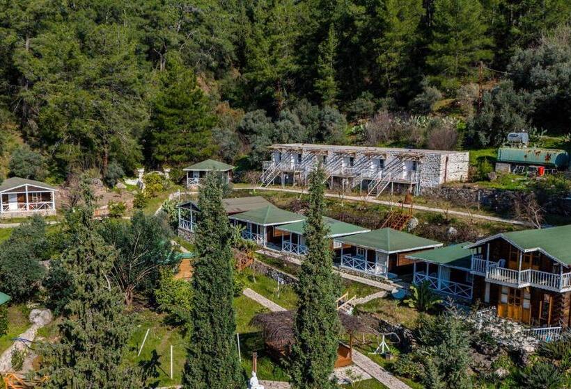 Номер Стандарт, Angels Garden