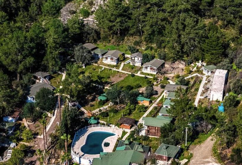 Номер Стандарт, Angels Garden