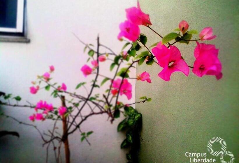 Апартаменты 1 Спальня, Campus Liberdade Flat