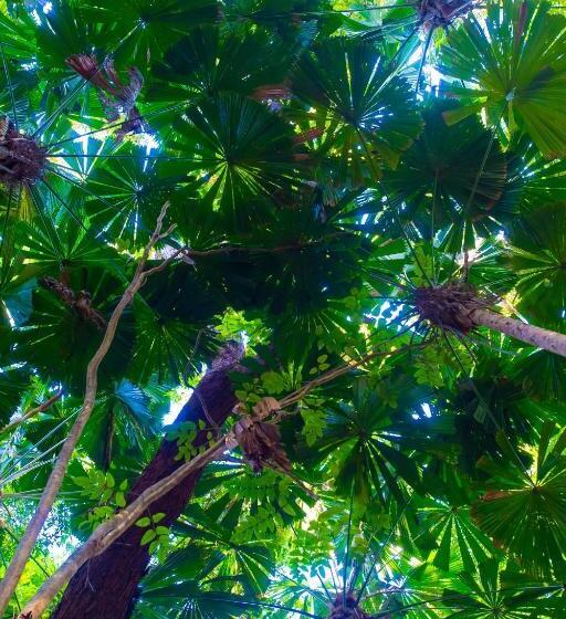 Студия Deluxe, Cape Trib Beach House