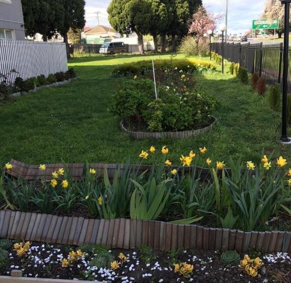 דירת שני חדרים, Hobart Apartments