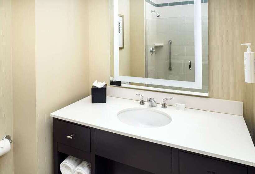 سوئیت با تخت بزرگ, Home2 Suites By Hilton College Station