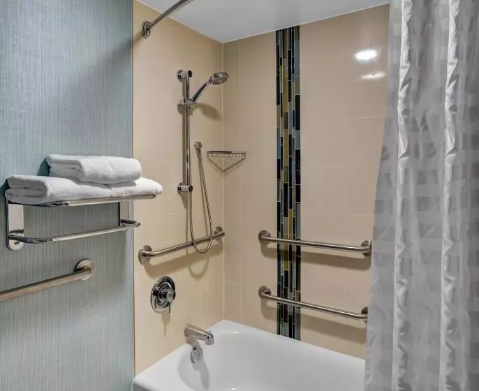 身障者適用キングサイズベッドルーム, Hyatt Place Nashville Brentwood