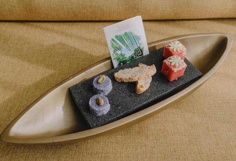 اتاق لوکس با چشمانداز باغ, Salinda Resort Phu Quoc