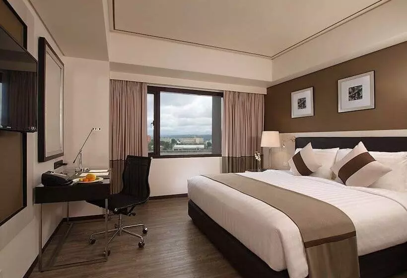 اتاق لوکس, Seda Centrio